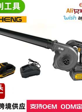 东恒DHENG 21V有刷吹风机DH456C-128 锂电吹风机套装 厂家