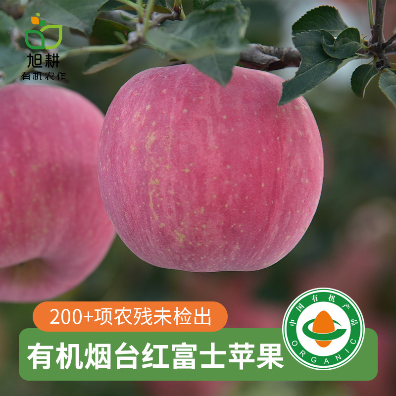 旭耕有机苹果新鲜山东烟台红富士