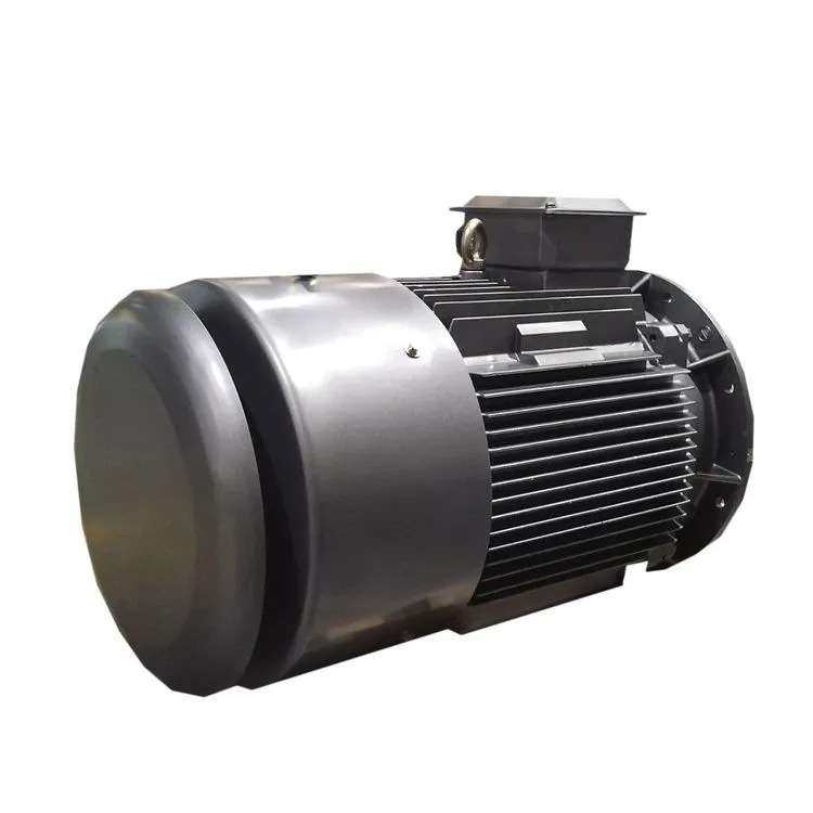 鸿泰一级能效同步电机TYP5-90S-6 1.1KW 380V安装方式IMB3 性能好