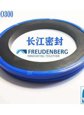 simko 300 德国CFW进口密封件 组合油封100-84.5-6 40-24.5-6