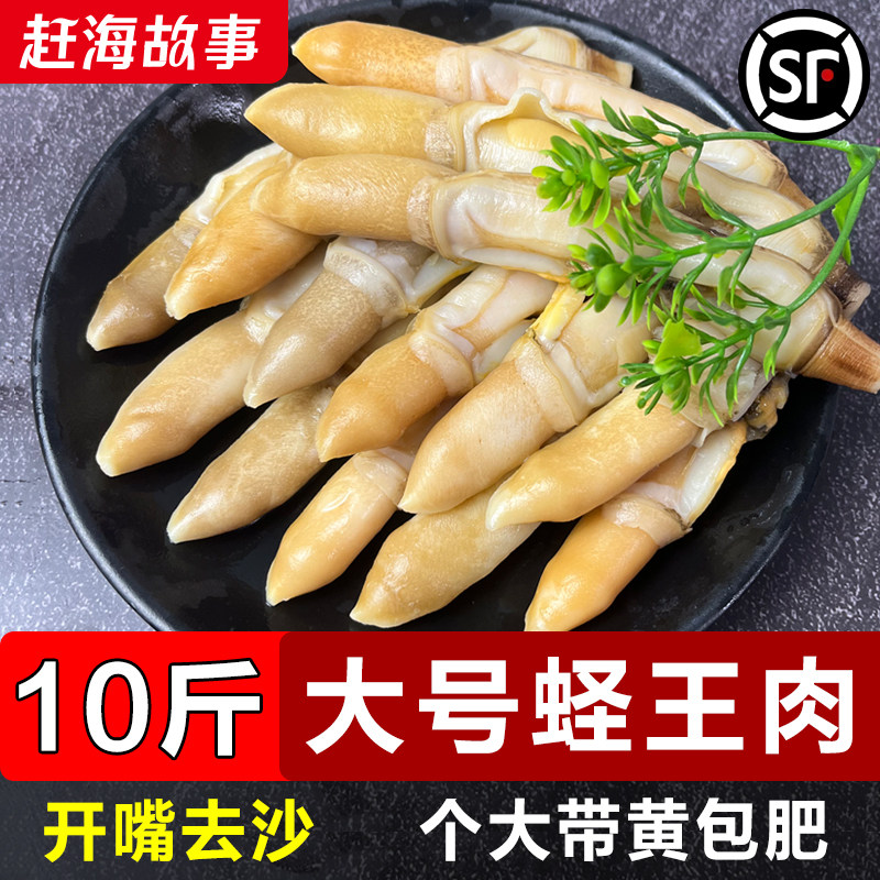 蛏王肉新鲜现拨大号蛏子肉双头蛏肉无沙捞汁小海鲜顺丰包邮竹蛏肉