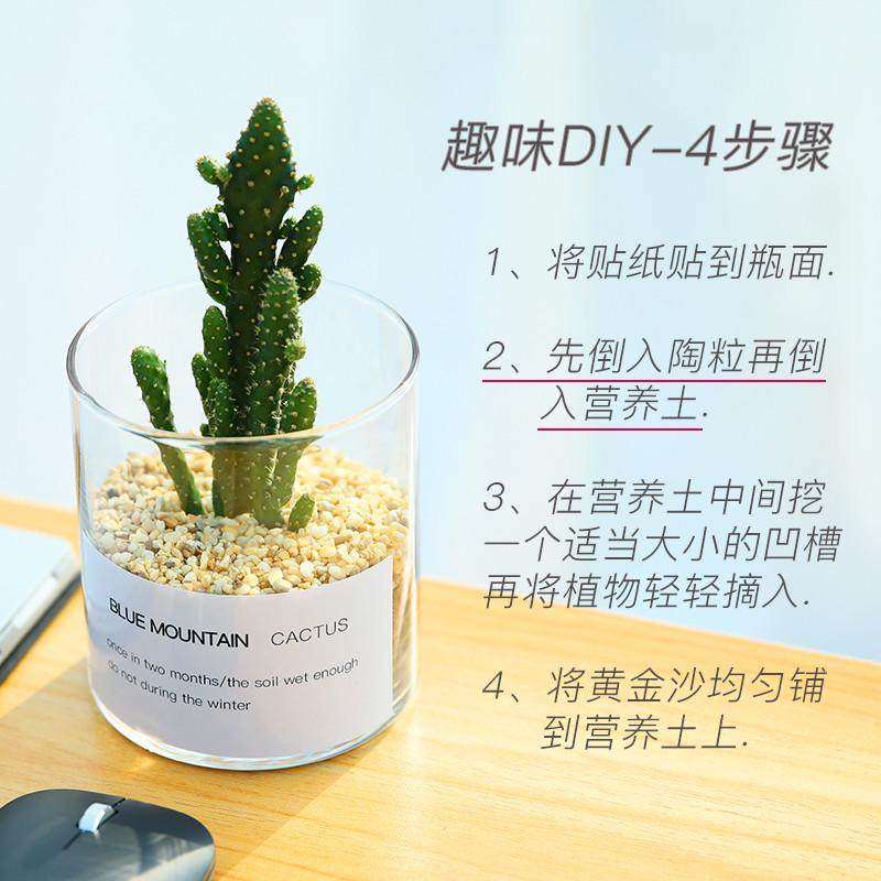 仙人掌盆栽多肉植物仙人球小盆栽室内开花办公室绿植桌面电脑玉露,鲜花速递/花卉仿真/绿植园艺,多肉植物,淘宝优惠券,粉丝福利购,淘宝优惠卷