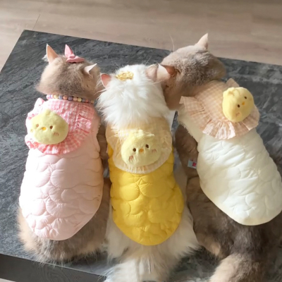 猫咪衣服新款秋冬季加绒保暖马甲英短金渐层布偶狗狗可爱加厚棉衣