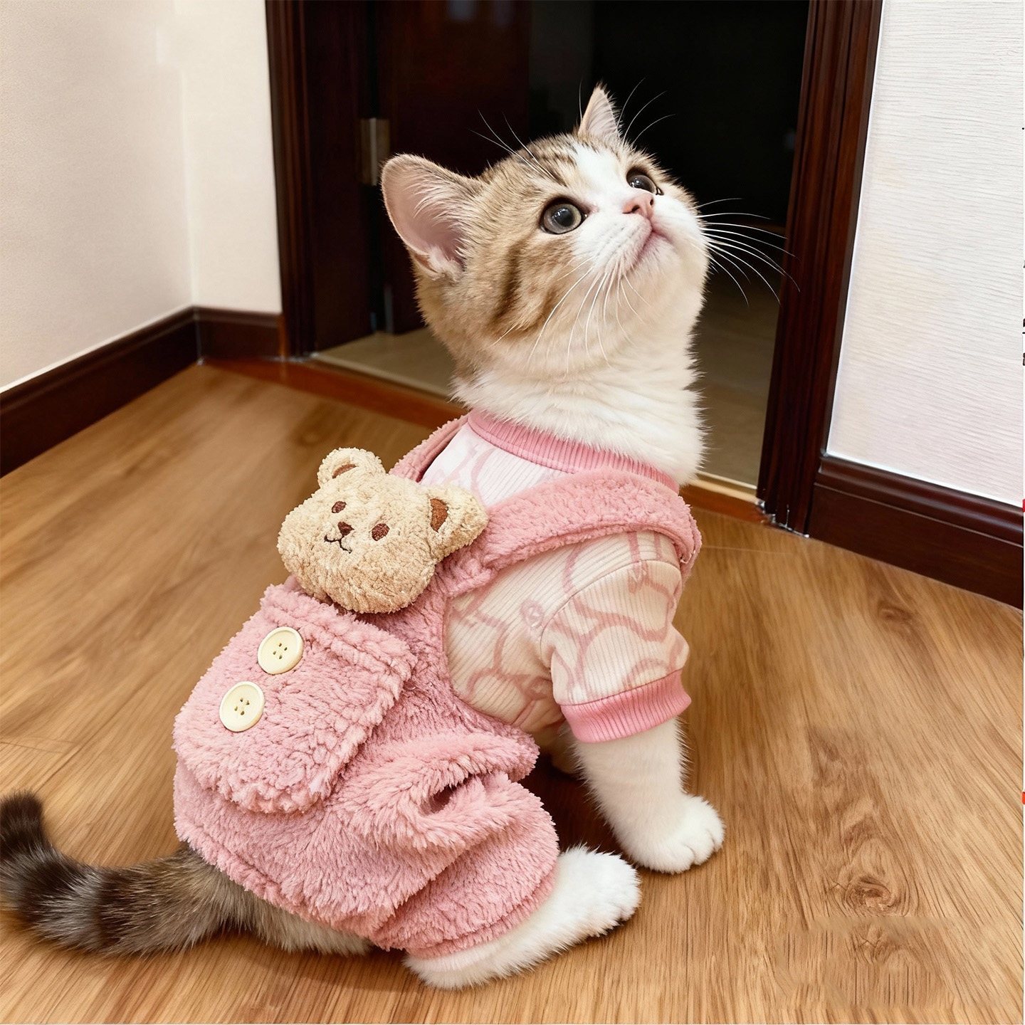 猫咪衣服秋冬季背带小熊独立口袋金渐层布偶可爱加厚保暖狗狗衣服,宠物/宠物食品及用品,猫宠物服装/雨衣（新）,淘宝优惠券,粉丝福利购,淘宝优惠卷