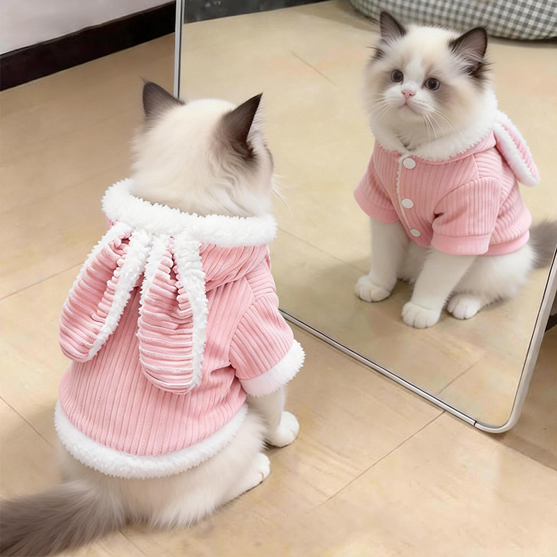 猫咪衣服秋冬装保暖可爱防掉毛兔耳朵连帽棉衣金渐层布偶宠物服装,宠物/宠物食品及用品,猫宠物服装/雨衣（新）,淘宝优惠券,粉丝福利购,淘宝优惠卷