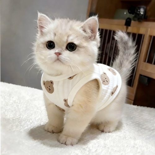 猫狗夏季纯棉透气居家防掉毛马甲
