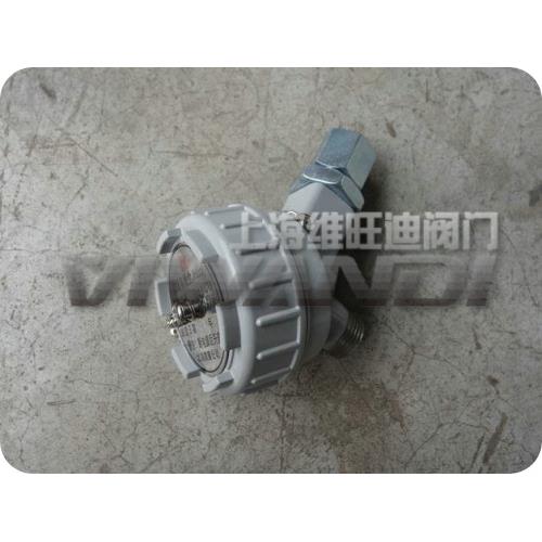 防爆接线盒EXDII CT6 CT4 EXDII BT4 BT6