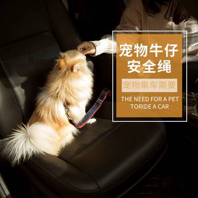 极速Pet car safety rope dog car safFety belt rear seat tract
