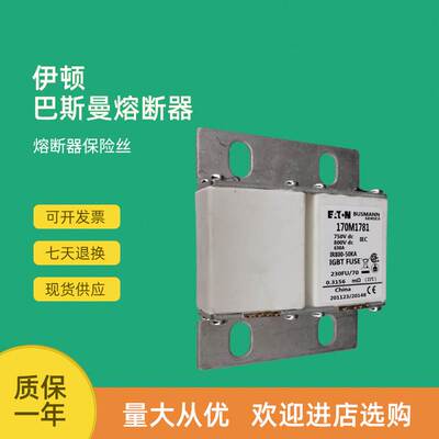 极速全新快速熔断器保险170M1739 170M1740 170M17Q41 170M1742议