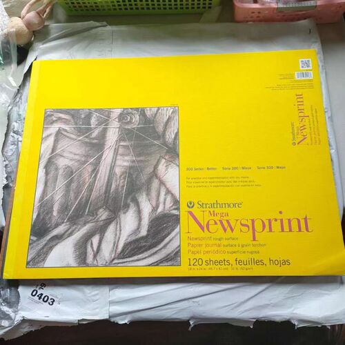 新品现货Strathmore 300 Series Newsprint Pad 18x24 5Y0 Shee
