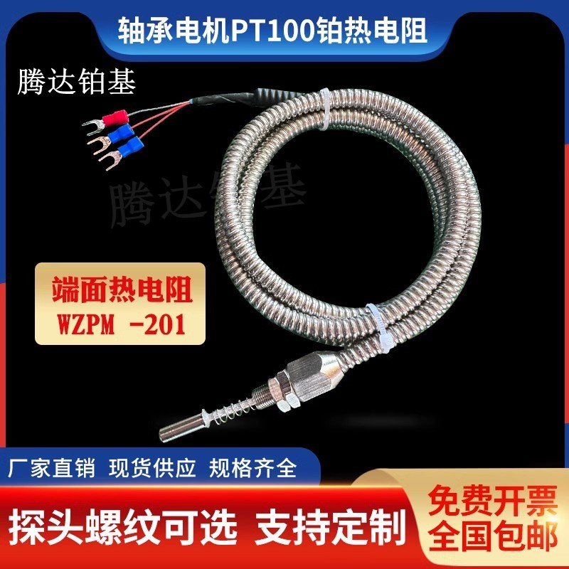 电机轴承马达测温探头热电阻PT100温度传感器 伸缩端面铂电阻