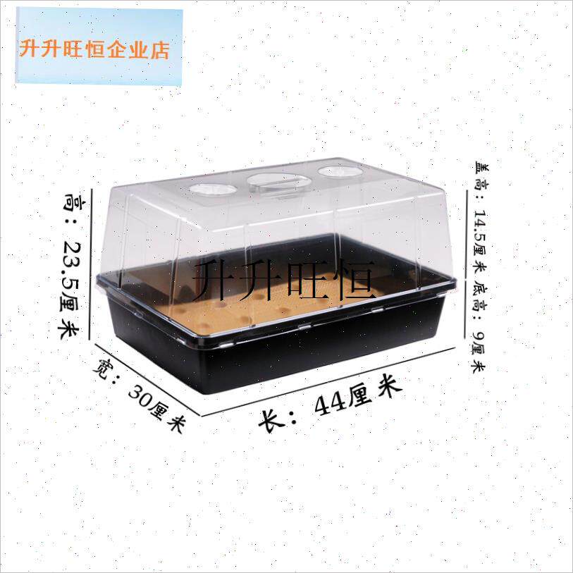 M02育苗盘叶扦插播种培育容器塑料盆蓄水收纳整理Y闷养暖房隔离,