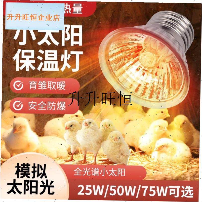 丁鸡保温灯小鸡育雏取暖灯宠物爬宠乌龟晒背太阳灯W鹦鹉保暖灯泡,,宠物/宠物食品及用品,鸟禽其他,淘宝优惠券,粉丝福利购,淘宝优惠卷