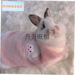 物小兔子穿的衣服秋o冬保暖可爱垂耳兔侏儒兔幼兔荷兰猪外出专用,