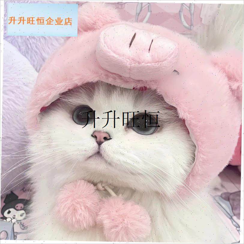 咪头套可爱小猪帽l子宠物小狗狗马尔济斯约克夏比熊可爱拍照头饰,,宠物/宠物食品及用品,帽子,淘宝优惠券,粉丝福利购,淘宝优惠卷