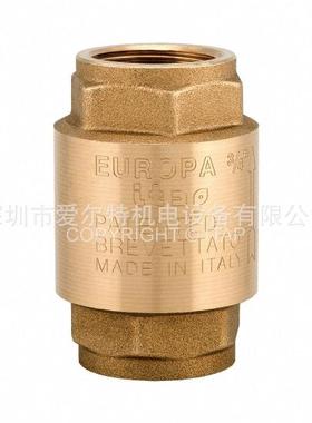 上海供应EUROPA100 止回阀 ITAP空气止回阀