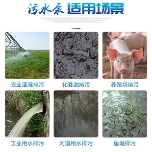 污水泵家用220V小型化粪池抽粪泥浆下水道排污高扬程潜水泵 切割式