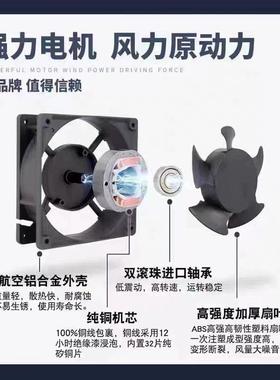 全新德力西轴流风机200*200*60 220V滚珠散热风扇G20060HA2BL-C-W