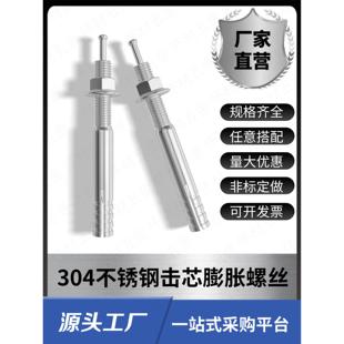 304不锈钢击芯膨胀螺栓撞针敲打入式 M6M8M10M12M16锤击膨胀螺丝