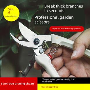 三溪树木园艺剪刀,修剪剪刀,果树修剪枝剪刀,厚枝省力修剪枝专