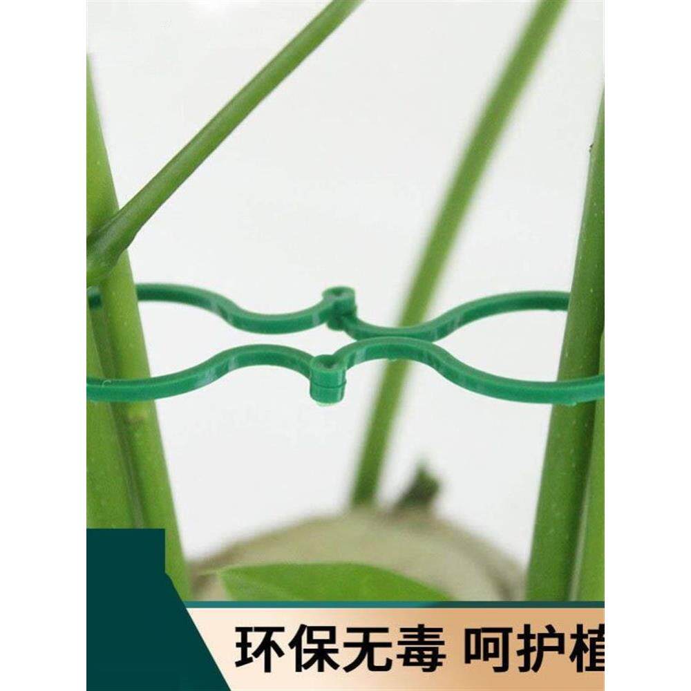 果树拉枝定型器果树拉枝专用绳压枝神器果树别枝器夹器可重复使用