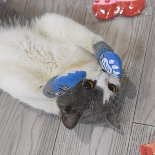 子不猫袜子猫专用外出猫咪脚套幼猫抓爪狗鞋 掉防防套鞋 子宠物狗掉