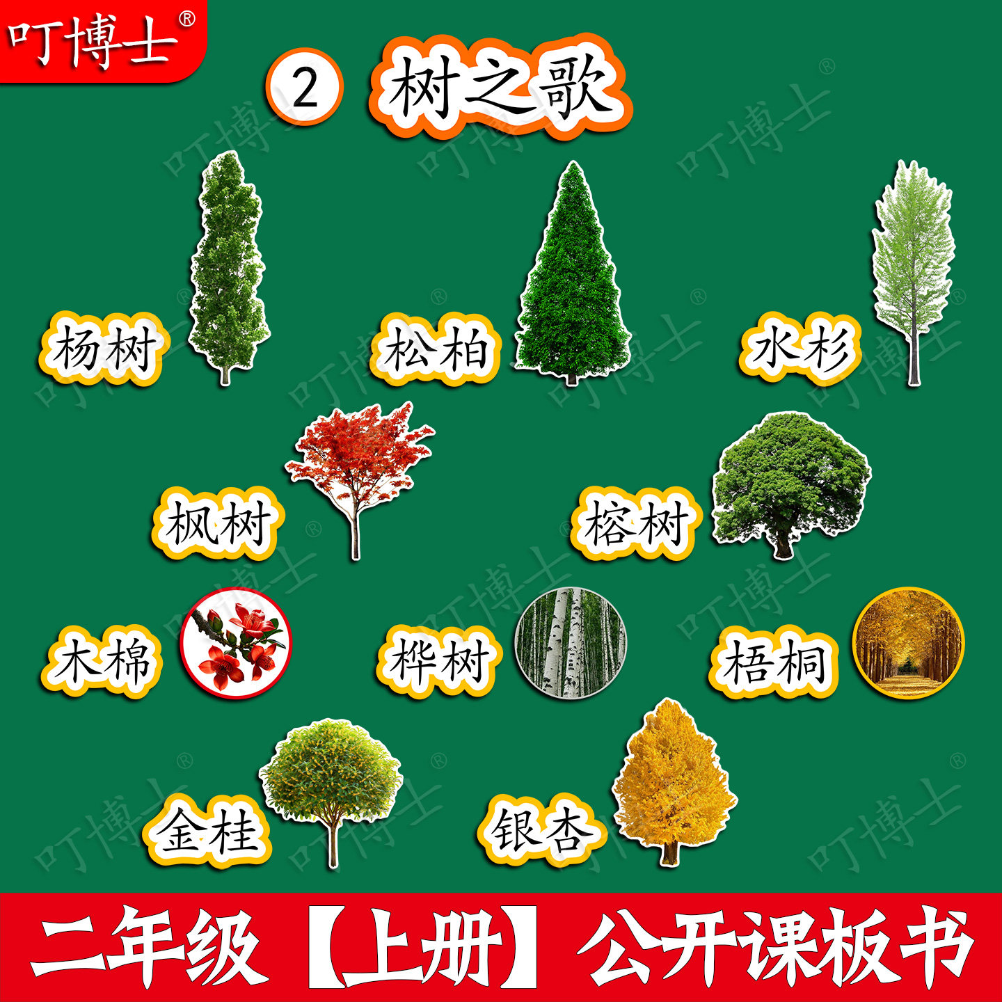 树之歌公开课板贴塑封板书设计
