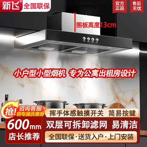 新飞小尺寸超薄矮款抽油烟机公寓