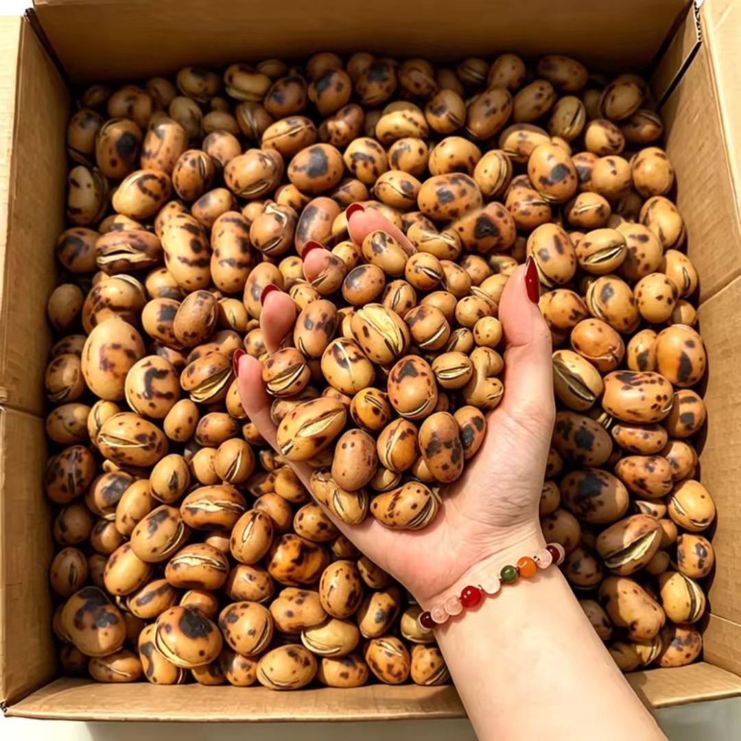 【净重】原味开口干炒蚕豆正宗香炒胡豆羊眼豆铁锅兰花豆薄皮核桃