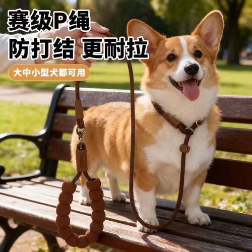 赛级P绳轻便超细懒人狗狗牵引绳遛狗防打结中小型训犬P链舒适外出
