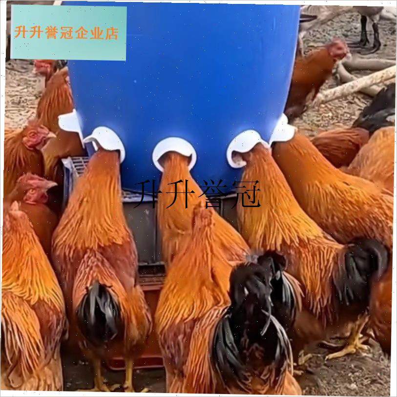 新型家禽自动h饲养桶鸡鸭鹅种鸡饲养桶带盖遮阳特厚大尺寸带盖,,宠物/宠物食品及用品,其它宠物用具,淘宝优惠券,粉丝福利购,淘宝优惠卷