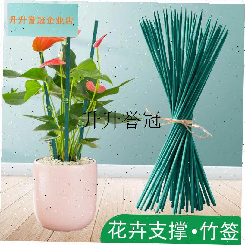 绿色竹签植物花卉防倒支撑杆室内外绑花固定支R架插花杆金钱树单,