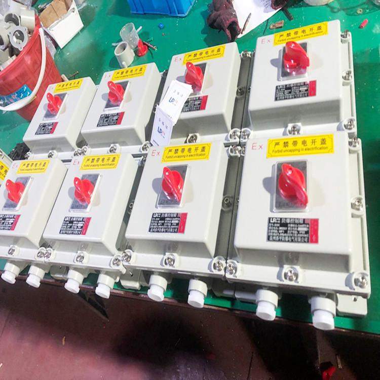 BDZ52防爆断路器10A16A20A32A63A100A漏电2P3P4P防爆开关箱