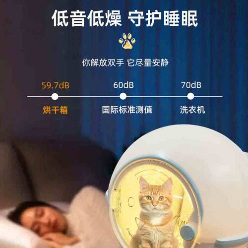 全自动猫咪宠物烘干箱机宠物店家用小型狗狗猫洗澡吹水神器干风机