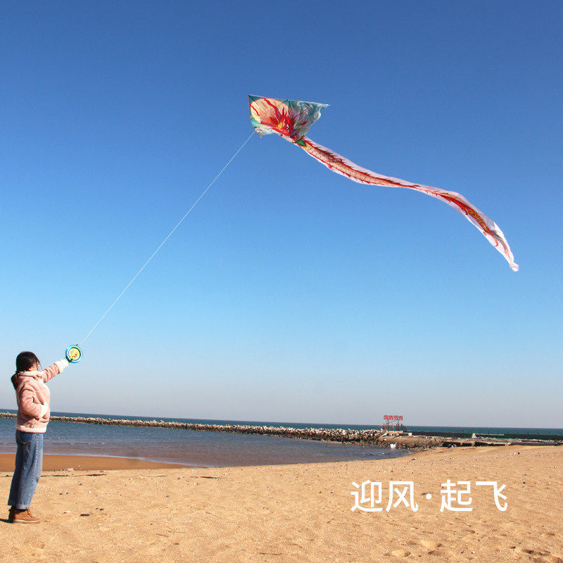龙形风筝大人专用2026年新款潍坊大风筝龙年高档飞龙微风易飞风筝