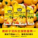 民隆黄西红柿火锅汤底料原味辣味300g涮肉美味汤底五原黄柿子