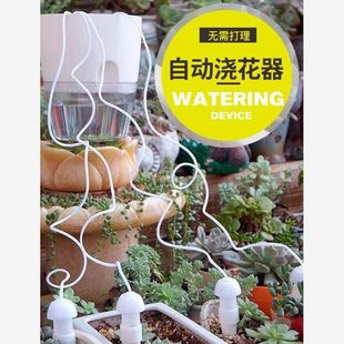 滴灌家用自动浇水器浇花器懒人盆栽渗水器水器花园阳台滴