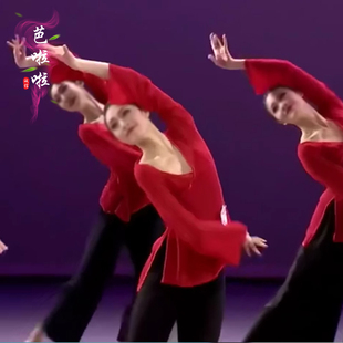 身韵巡礼舞蹈服古典舞飘逸纱衣弹力北舞班服阔腿裤练习演出表演服