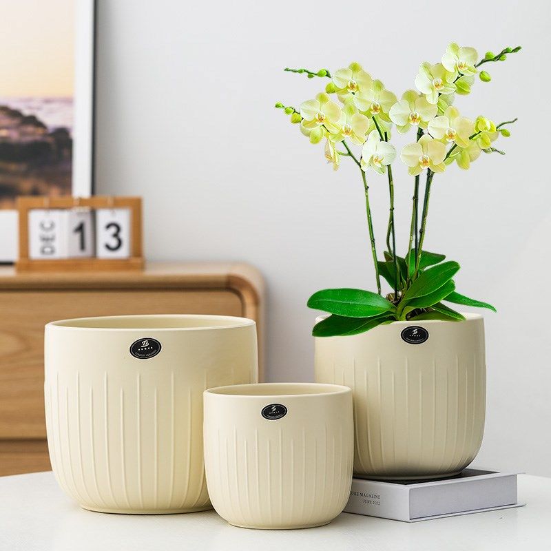 花盆陶瓷新款亚光北欧简约花盆带托盘桌面蝴蝶兰吊兰绿植多肉花盆,家居饰品,装饰摆件,淘宝优惠券,粉丝福利购,淘宝优惠卷