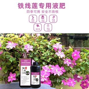 铁线莲专用液肥促生长促开花俏芳花浓缩液肥