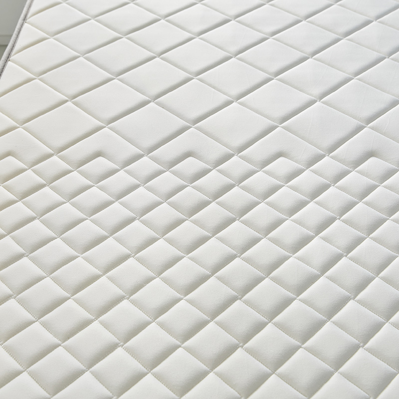 床垫软垫家用卧室高密度海绵垫榻榻米床垫加厚学生宿舍单双人垫子