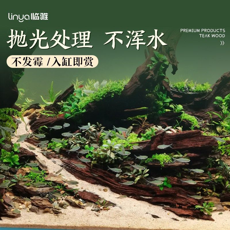 沉木鱼缸造景专用内饰摆件高级紫柚木蜥蜴守宫乌龟爬宠天然躲避屋,宠物/宠物食品及用品,造景/装饰,淘宝优惠券,粉丝福利购,淘宝优惠卷