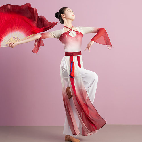 极速古典舞演g出服春季新品连体衣舞蹈服中国风飘逸身韵民族舞练
