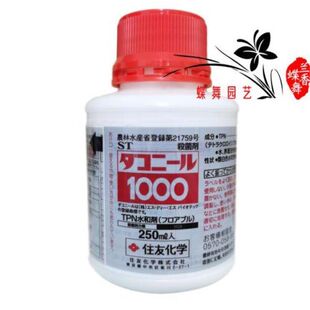 极速达克灵精兰花分苗伤口处理君子兰黑L斑叶斑家庭阳台养兰园艺