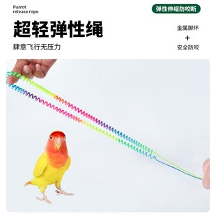 极速鹦鹉弹力放飞绳脚链不伤脚遛鸟绳训练L绳造景布景饲养笼子宠