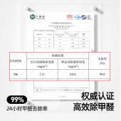 甲醛果冻清除味剂空气净化机器婴儿童衣柜新房家用装 修车内自测盒