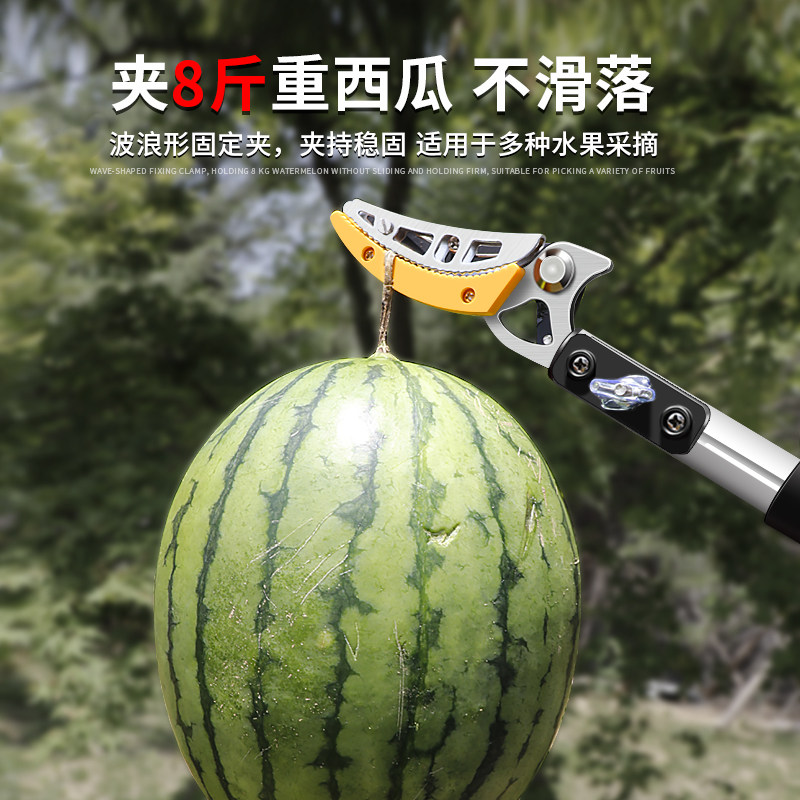 德国精工摘水果神器高空采摘荔枝杨梅枇杷香椿芽高枝剪伸缩杆加厚