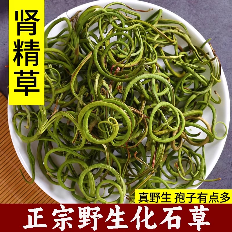 正品野生化石草肾精茶新货中药材500g正宗黄金草嗷嗷叫茶肾经草粉