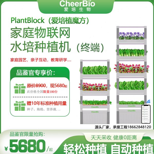 水培蔬菜种植机无土栽培室内种植设备家庭物联网亲子研学智慧校园