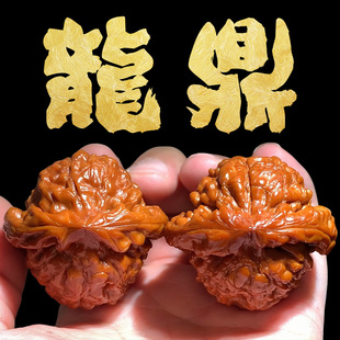 龙鼎核桃文玩精品粗筋高端收藏级特大尺寸手盘玩古玩高级男士小众